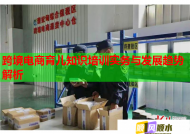 跨境電商育兒知識(shí)培訓(xùn)實(shí)務(wù)與發(fā)展趨勢(shì)解析