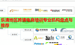 樂清地區(qū)跨境電商培訓(xùn)專業(yè)機(jī)構(gòu)盤點(diǎn)與推薦