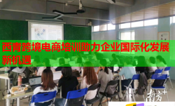 西青跨境電商培訓(xùn)助力企業(yè)國際化發(fā)展新機(jī)遇