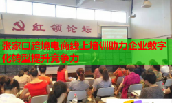 張家口跨境電商線上培訓(xùn)助力企業(yè)數(shù)字化轉(zhuǎn)型提升競(jìng)爭(zhēng)力