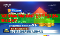問(wèn)道跨境電商培訓(xùn)全面提升實(shí)戰(zhàn)技能與市場(chǎng)競(jìng)爭(zhēng)力