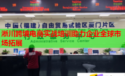 淅川跨境電商實戰(zhàn)培訓(xùn)助力企業(yè)全球市場拓展