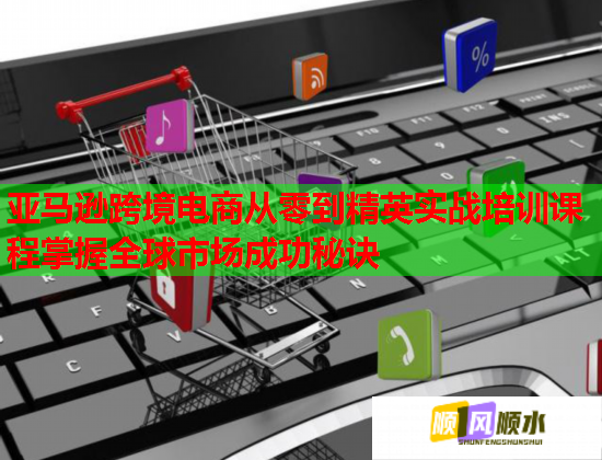 亞馬遜跨境電商從零到精英實(shí)戰(zhàn)培訓(xùn)課程掌握全球市場(chǎng)成功秘訣  第2張