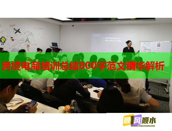 跨境電商培訓(xùn)總結(jié)800字范文精華解析  第1張