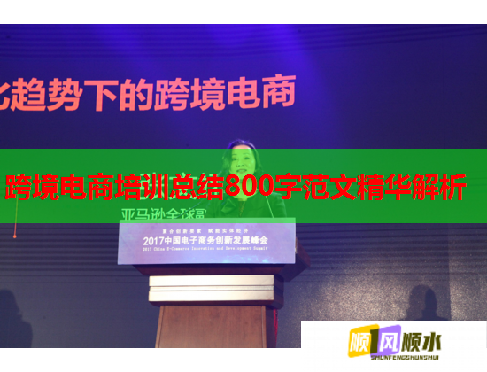 跨境電商培訓(xùn)總結(jié)800字范文精華解析  第2張