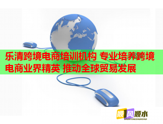 樂清跨境電商培訓(xùn)機(jī)構(gòu) 專業(yè)培養(yǎng)跨境電商業(yè)界精英 推動(dòng)全球貿(mào)易發(fā)展  第1張