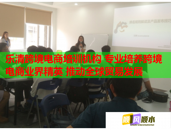 樂清跨境電商培訓(xùn)機(jī)構(gòu) 專業(yè)培養(yǎng)跨境電商業(yè)界精英 推動全球貿(mào)易發(fā)展  第2張