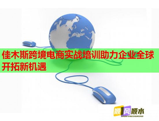 佳木斯跨境電商實(shí)戰(zhàn)培訓(xùn)助力企業(yè)全球開(kāi)拓新機(jī)遇  第1張