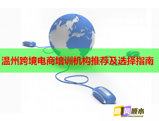 溫州跨境電商培訓(xùn)機(jī)構(gòu)推薦及選擇指南  第1張