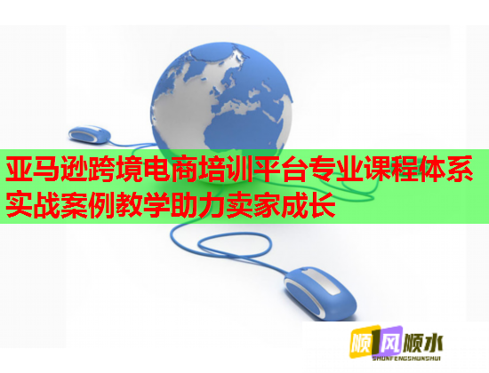 亞馬遜跨境電商培訓平臺專業(yè)課程體系實戰(zhàn)案例教學助力賣家成長  第1張