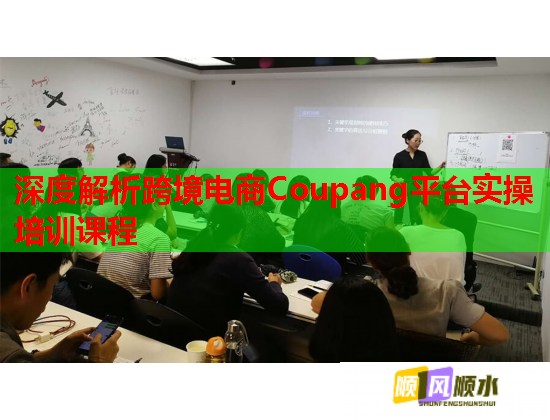 深度解析跨境電商Coupang平臺實操培訓(xùn)課程  第1張