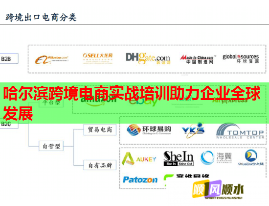 哈爾濱跨境電商實戰(zhàn)培訓助力企業(yè)全球發(fā)展  第1張
