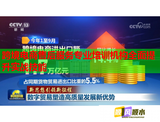 跨境電商售后服務(wù)專業(yè)培訓(xùn)機(jī)構(gòu)全面提升實(shí)戰(zhàn)技能  第2張