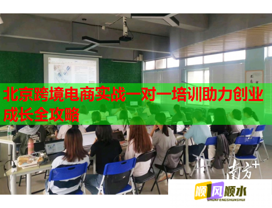 北京跨境電商實(shí)戰(zhàn)一對(duì)一培訓(xùn)助力創(chuàng)業(yè)成長(zhǎng)全攻略  第1張