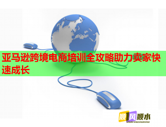 亞馬遜跨境電商培訓(xùn)全攻略助力賣家快速成長(zhǎng)  第2張