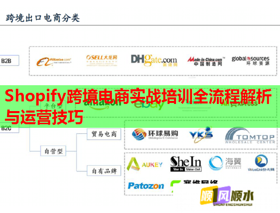 Shopify跨境電商實(shí)戰(zhàn)培訓(xùn)全流程解析與運(yùn)營(yíng)技巧  第1張