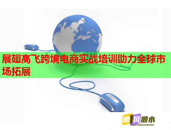 展翅高飛跨境電商實戰(zhàn)培訓助力全球市場拓展  第1張