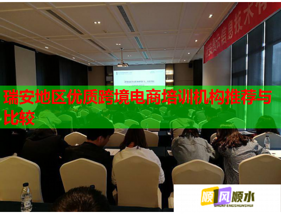 瑞安地區(qū)優(yōu)質(zhì)跨境電商培訓(xùn)機(jī)構(gòu)推薦與比較  第1張