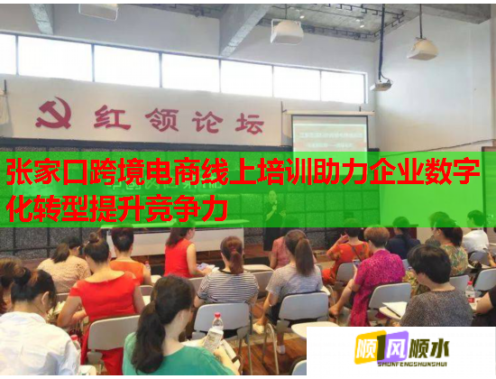 張家口跨境電商線上培訓助力企業(yè)數(shù)字化轉(zhuǎn)型提升競爭力  第1張