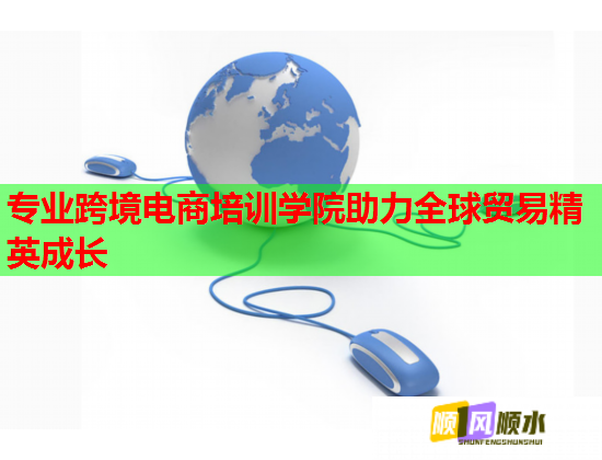 專(zhuān)業(yè)跨境電商培訓(xùn)學(xué)院助力全球貿(mào)易精英成長(zhǎng)  第1張