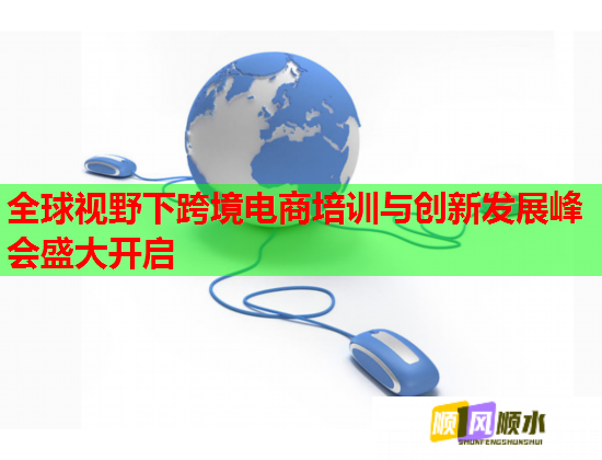 全球視野下跨境電商培訓(xùn)與創(chuàng)新發(fā)展峰會盛大開啟  第2張