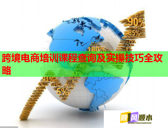 跨境電商培訓(xùn)課程查詢及實操技巧全攻略  第1張