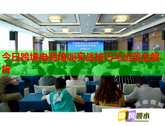 今日跨境電商培訓(xùn)實(shí)戰(zhàn)技巧與運(yùn)營(yíng)全解析  第1張