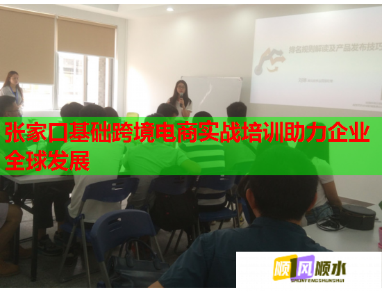 張家口基礎(chǔ)跨境電商實(shí)戰(zhàn)培訓(xùn)助力企業(yè)全球發(fā)展  第2張