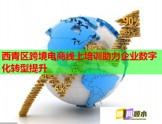 西青區(qū)跨境電商線上培訓助力企業(yè)數(shù)字化轉(zhuǎn)型提升  第1張