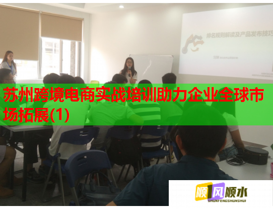 蘇州跨境電商實(shí)戰(zhàn)培訓(xùn)助力企業(yè)全球市場拓展(1)  第1張