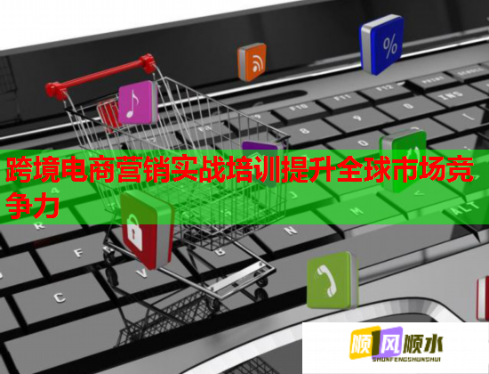 跨境電商營(yíng)銷實(shí)戰(zhàn)培訓(xùn)提升全球市場(chǎng)競(jìng)爭(zhēng)力  第1張