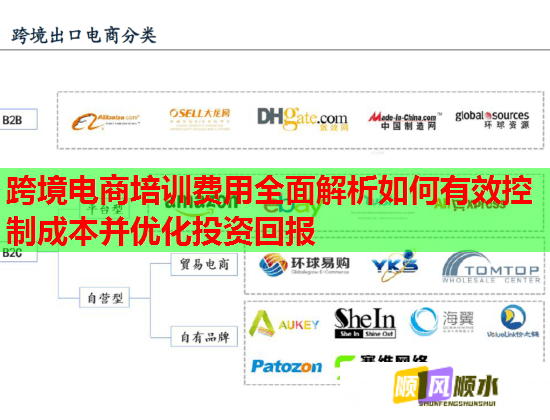 跨境電商培訓(xùn)費(fèi)用全面解析如何有效控制成本并優(yōu)化投資回報(bào)  第3張