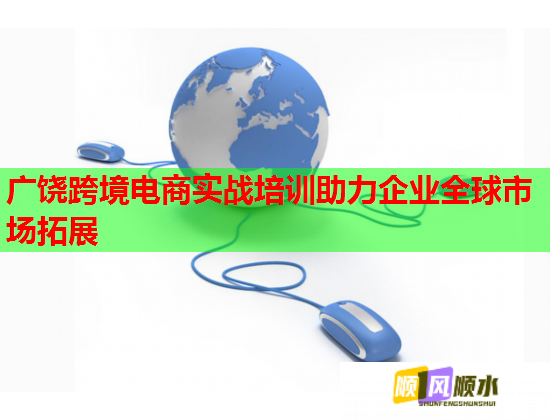 廣饒跨境電商實(shí)戰(zhàn)培訓(xùn)助力企業(yè)全球市場(chǎng)拓展  第3張
