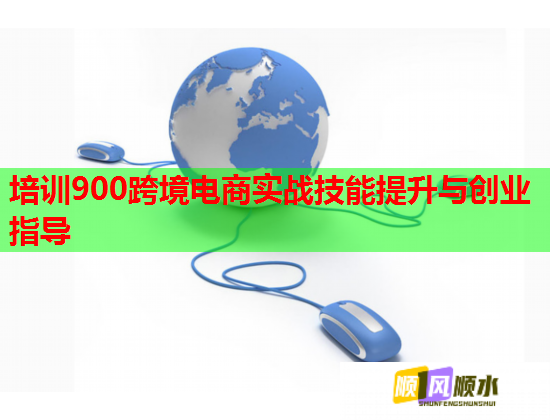 培訓900跨境電商實戰(zhàn)技能提升與創(chuàng)業(yè)指導  第1張