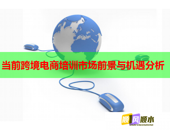當(dāng)前跨境電商培訓(xùn)市場(chǎng)前景與機(jī)遇分析  第2張