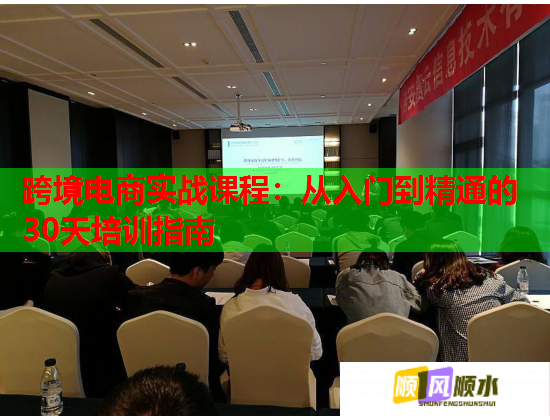 跨境電商實(shí)戰(zhàn)課程：從入門到精通的30天培訓(xùn)指南  第1張