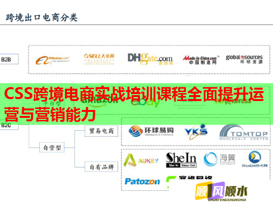 CSS跨境電商實(shí)戰(zhàn)培訓(xùn)課程全面提升運(yùn)營與營銷能力  第2張