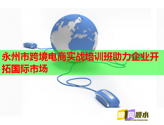 永州市跨境電商實戰(zhàn)培訓班助力企業(yè)開拓國際市場  第3張