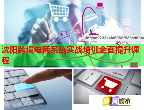 沈陽跨境電商系統(tǒng)實(shí)戰(zhàn)培訓(xùn)全面提升課程  第1張