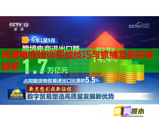 跨境電商培訓(xùn)實戰(zhàn)技巧與抓捕案例深度解析  第1張
