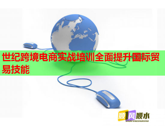 世紀(jì)跨境電商實戰(zhàn)培訓(xùn)全面提升國際貿(mào)易技能  第1張