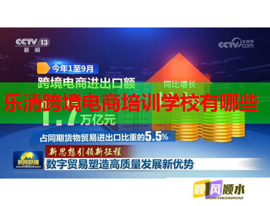 樂(lè)清跨境電商培訓(xùn)學(xué)校有哪些  第1張