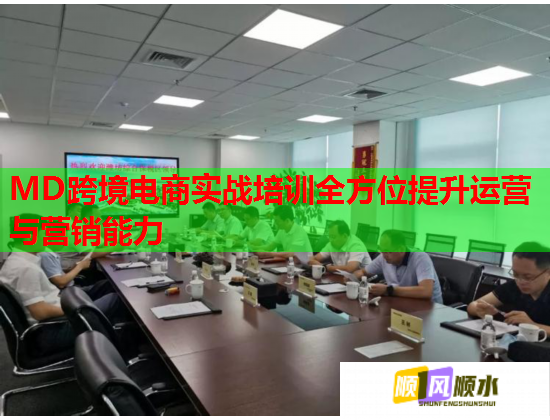 MD跨境電商實(shí)戰(zhàn)培訓(xùn)全方位提升運(yùn)營與營銷能力  第1張