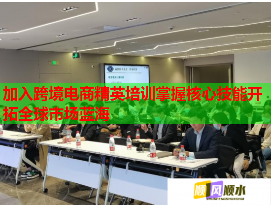加入跨境電商精英培訓(xùn)掌握核心技能開拓全球市場藍海  第2張