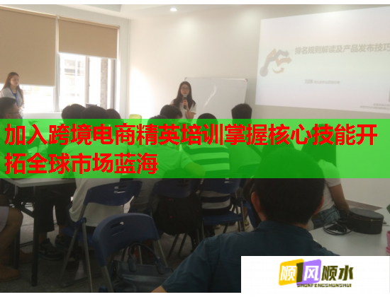 加入跨境電商精英培訓(xùn)掌握核心技能開拓全球市場藍海  第3張