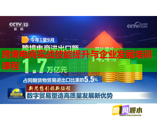 跨境電商實(shí)戰(zhàn)技能提升與企業(yè)發(fā)展培訓(xùn)課程  第1張
