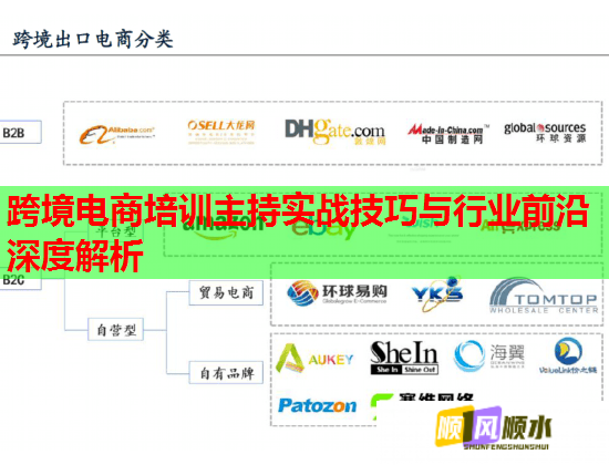 跨境電商培訓(xùn)主持實戰(zhàn)技巧與行業(yè)前沿深度解析  第2張
