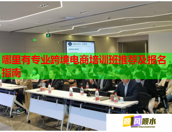哪里有專業(yè)跨境電商培訓班推薦及報名指南  第2張