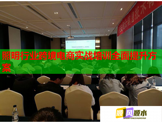 照明行業(yè)跨境電商實戰(zhàn)培訓(xùn)全面提升方案  第3張