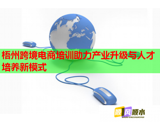 梧州跨境電商培訓(xùn)助力產(chǎn)業(yè)升級與人才培養(yǎng)新模式  第1張